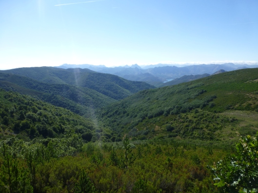 The land of the Cantabrian brown bear with the Riaño reservoir in the distance